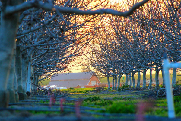 轰炸手机短信软件