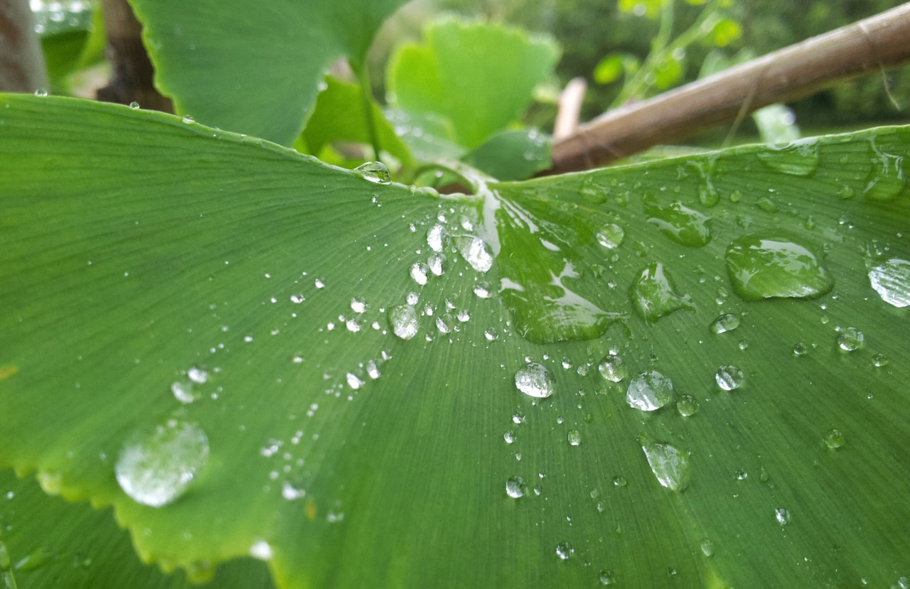操作简单直观的飞跃科技